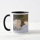 Search for mountain goats mugs National park