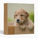 Search for paper box binders Cute