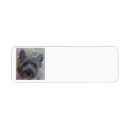 Search for lovers return address labels Pets