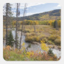 Search for provo stickers Environment