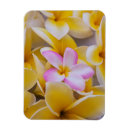 Recherche de hawaii usa magnets Oahu