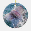 Search for shark ornaments Ocean