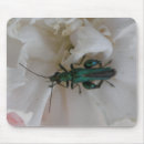 Search for beetle mousepads Animals