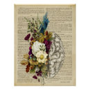 Search for brain anatomy posters Doctor
