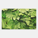 Recherche de feuille de ginkgo autocollants Biloba