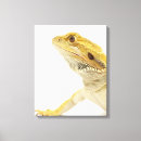 Search for dragon canvas prints Animal