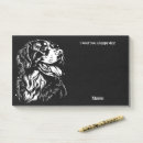 Recherche de berne posters Blanc