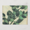 Search for cream background postcards Botanical