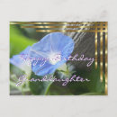 Recherche de morning glory Anniversaire