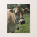 Search for jersey cow puzzles Field