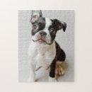 Recherche de boston terrier puzzles Animaux domestiques