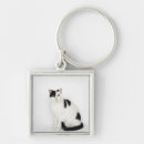 Search for white cats keychains Feline