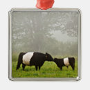 Search for scene ornaments Usa