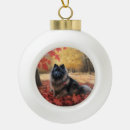 Search for keeshond ornaments Pet