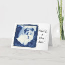 Search for calico cat cards Tortoiseshell