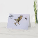 Search for osprey bird cards Animal