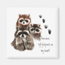 Recherche de raton laveur magnets Ratons laveurs