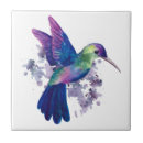 Recherche de de colibris carreaux Faune