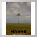 Recherche de palmier tropical posters Tropiques