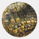 Search for crocodile skin stickers Texture