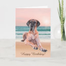 Search for dane cards Pup