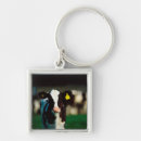 Search for holstein cow keychains Agriculture