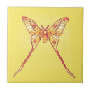 Recherche de insectes carreaux Pour enfants