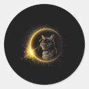 Search for cat with glasses stickers Wearing