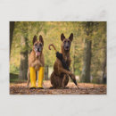 Recherche de bottes en caoutchouc Automne