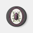 Recherche de cerf volant magnets Insecte