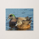 Recherche de draak puzzles Canards