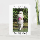 Search for wishes for brother birthday cards Photography