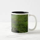 Recherche de oregon tasses Parc d'état