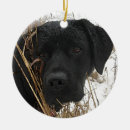 Search for hunting dog ornaments black lab