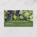 Recherche de raisins rouges cartes visite Vin