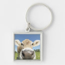 Search for bizarre keychains Horizontal