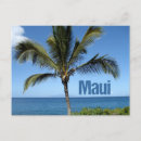 Search for hawaii souvenirs postcards Hawaiian