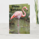 Search for flamingo cards Greenery