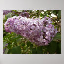 Search for cluster posters Floral