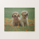 Recherche de pic puzzles Photographie