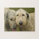 Recherche de espion puzzles Amoureux des chiens