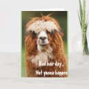 Recherche de alpaca vœux cartes Drôle