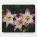 Search for triple mousepads Pink