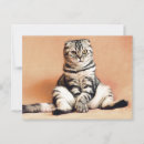 Recherche de plié cartes postales Chat