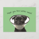 Recherche de honte vœux cartes Chien