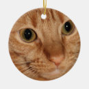 Search for ginger ornaments Orange