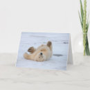 Search for bear cubs cards Baby