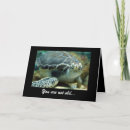 Search for turtle birthday cards Humour