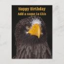 Recherche de oiseau mer cartes postales Aigle de mer