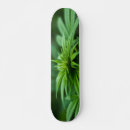 Search for weed skateboards Pot